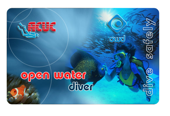 Cours Niveau 1: Open Water Diver